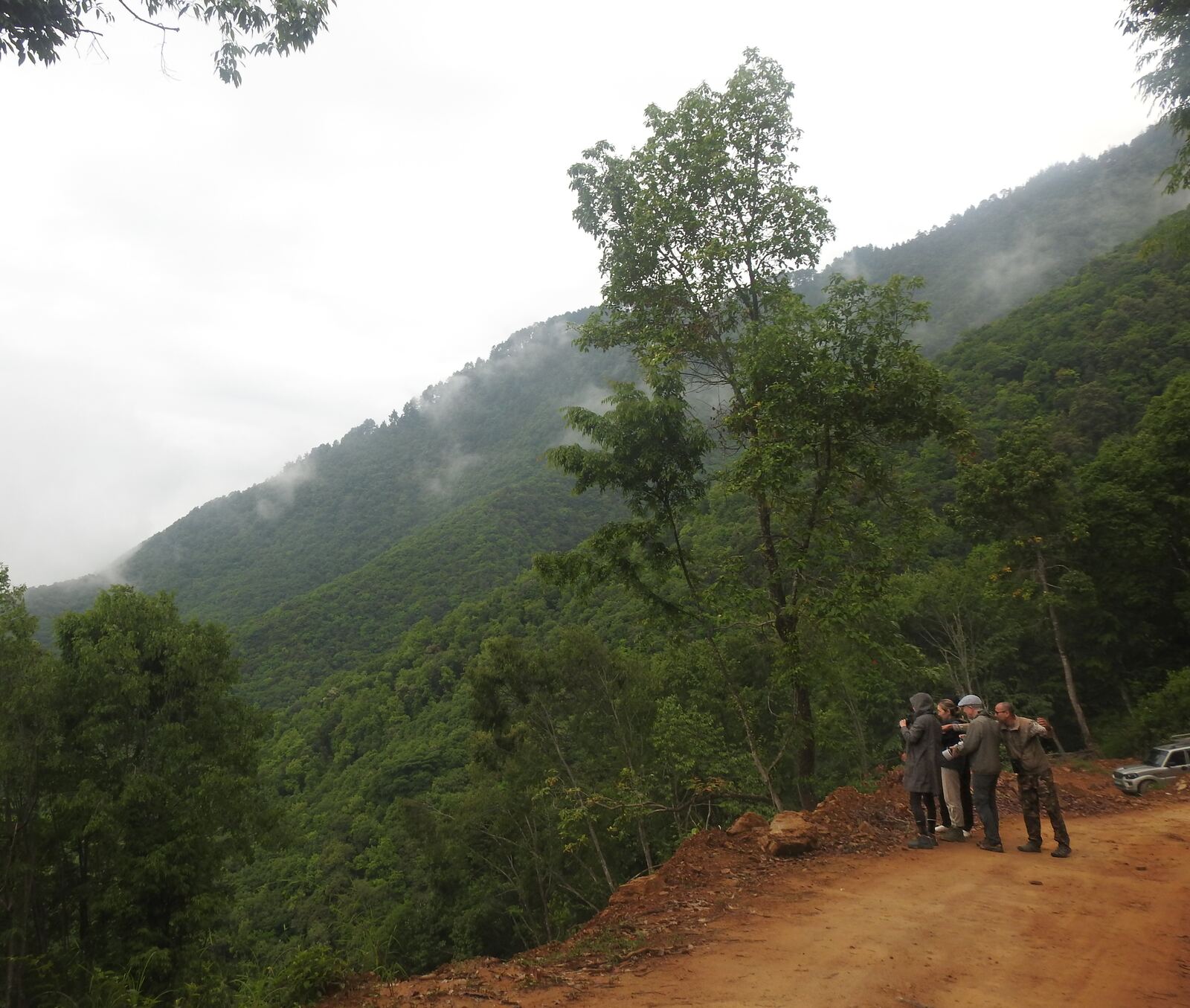 A small group walking a dirt road through a misty green hillside