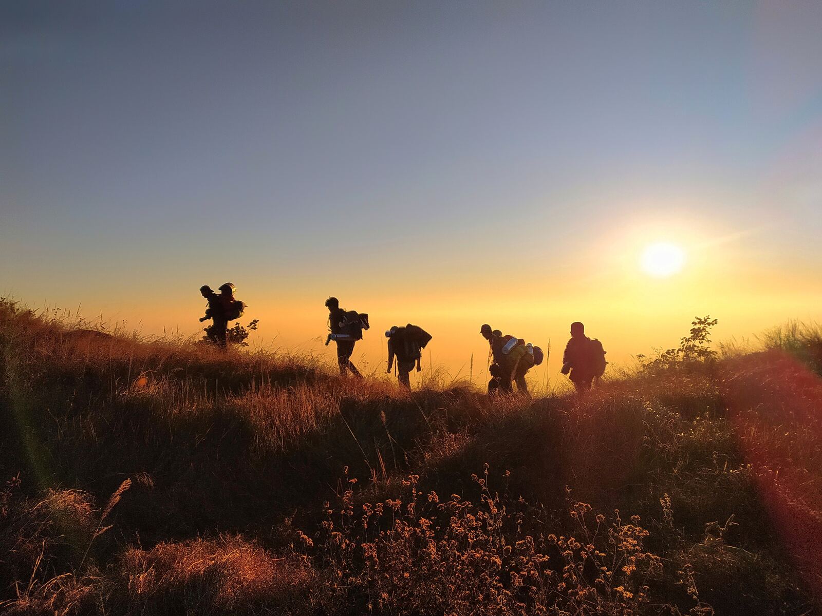 Trekkers silhouetted on a grassy ridge at golden sunrise